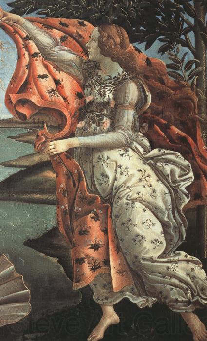 Sandro Botticelli The Birth of Venus (mk36)